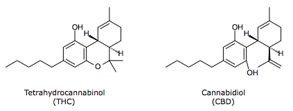 [Bild: Cannabinoide_1.png]