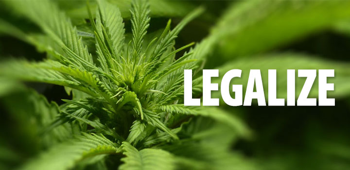 [Bild: Legalize-Pflanze.jpg]