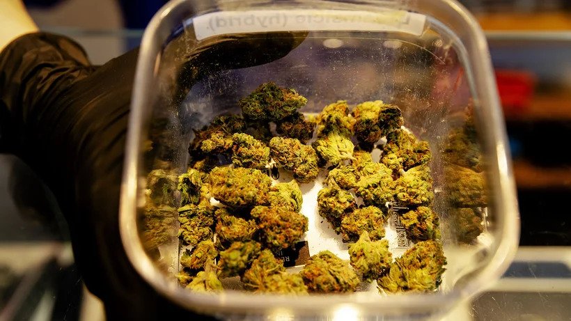 [Bild: cannabis_staat.jpg]