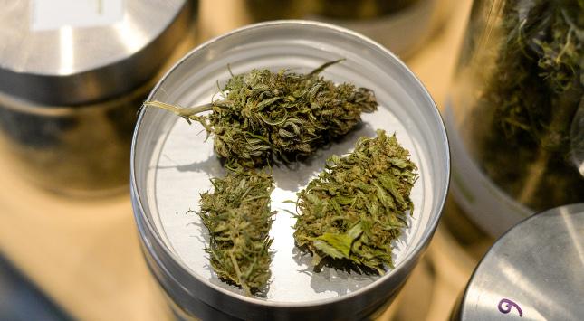 [Bild: cannabisblueten.jpg]